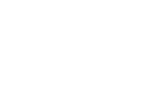 USA Icon